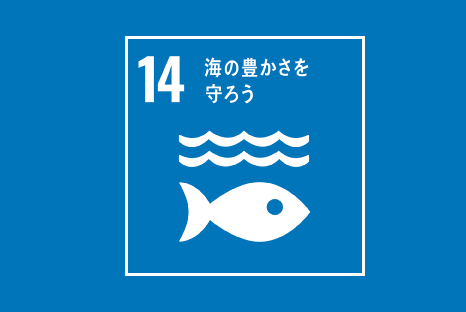 14 海の豊かさを守ろう